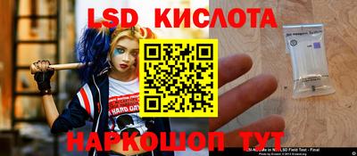 дживик Донской
