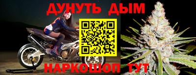 дживик Донской