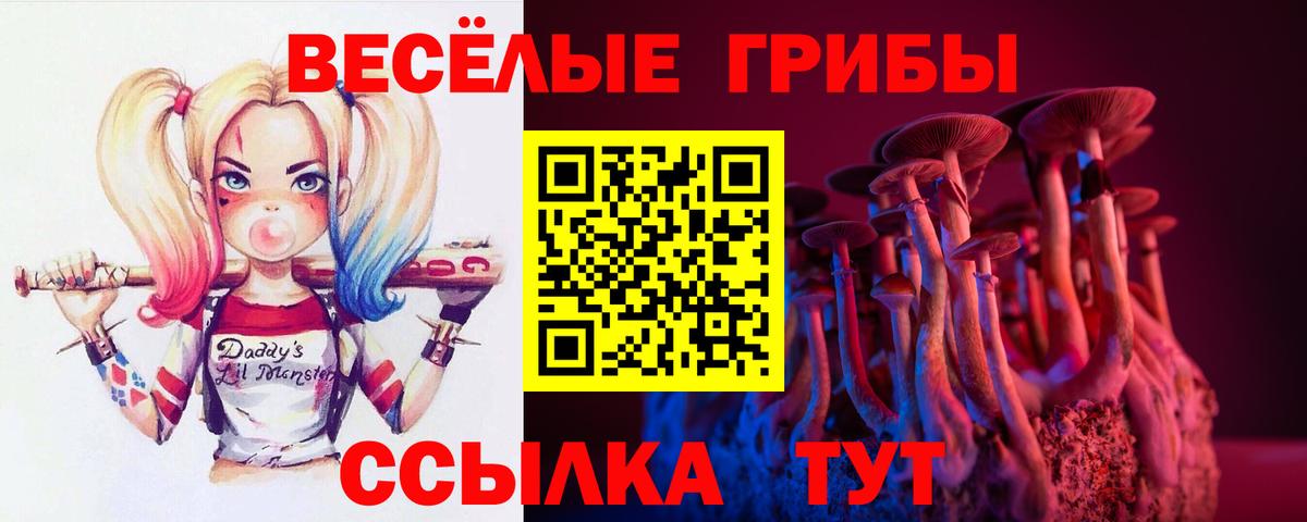 Галлюциногенные грибы Cubensis  Вход с VPN  Минеральные Воды 